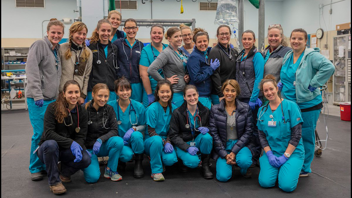 Group of veterinarians pose for photo