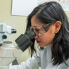 A researcher looking through a microscope