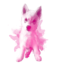 a magenta tinted puppy in front of watercolor brushstroke