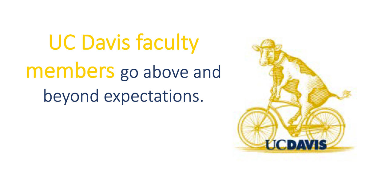 PowerPoint slide: "UC Davis faculty members go above and beyond expectations," with drawing of cow on bike.