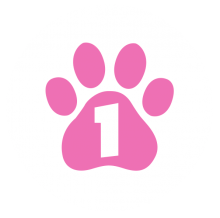 icon of paw print with a number one