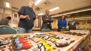 Dean Helene Dillard and Chancellor Gary May tour of the Bohart Museum and the Museum of Wildlife and Fish Biology on February 6, 2018. 