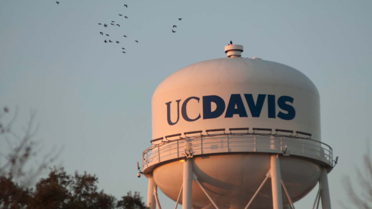 Image of UC Davis Water Tower at Sunset with birds flying on the left side