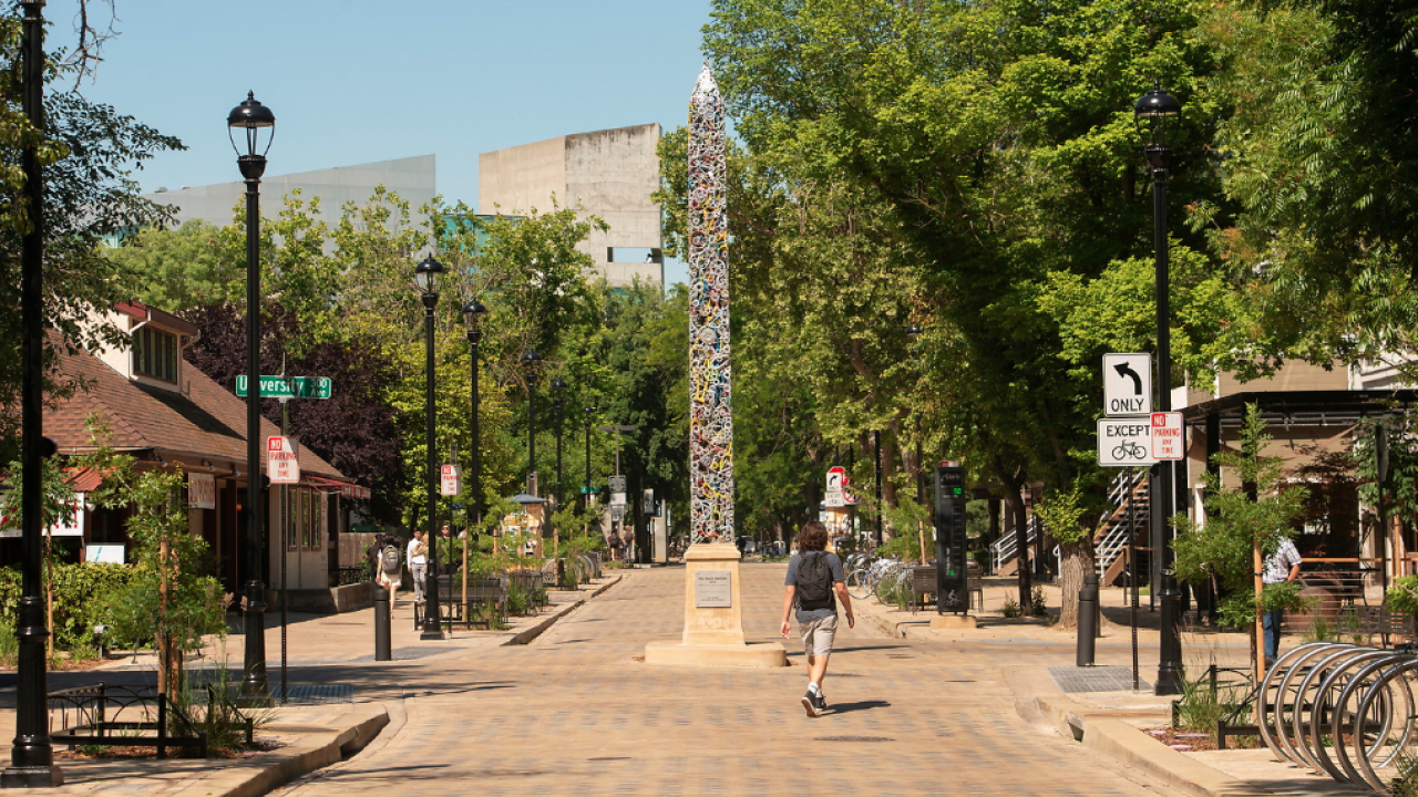 Image of Davis Needle, an art structure in the middle of 3rd Street that is constructed of old bicycle parts.