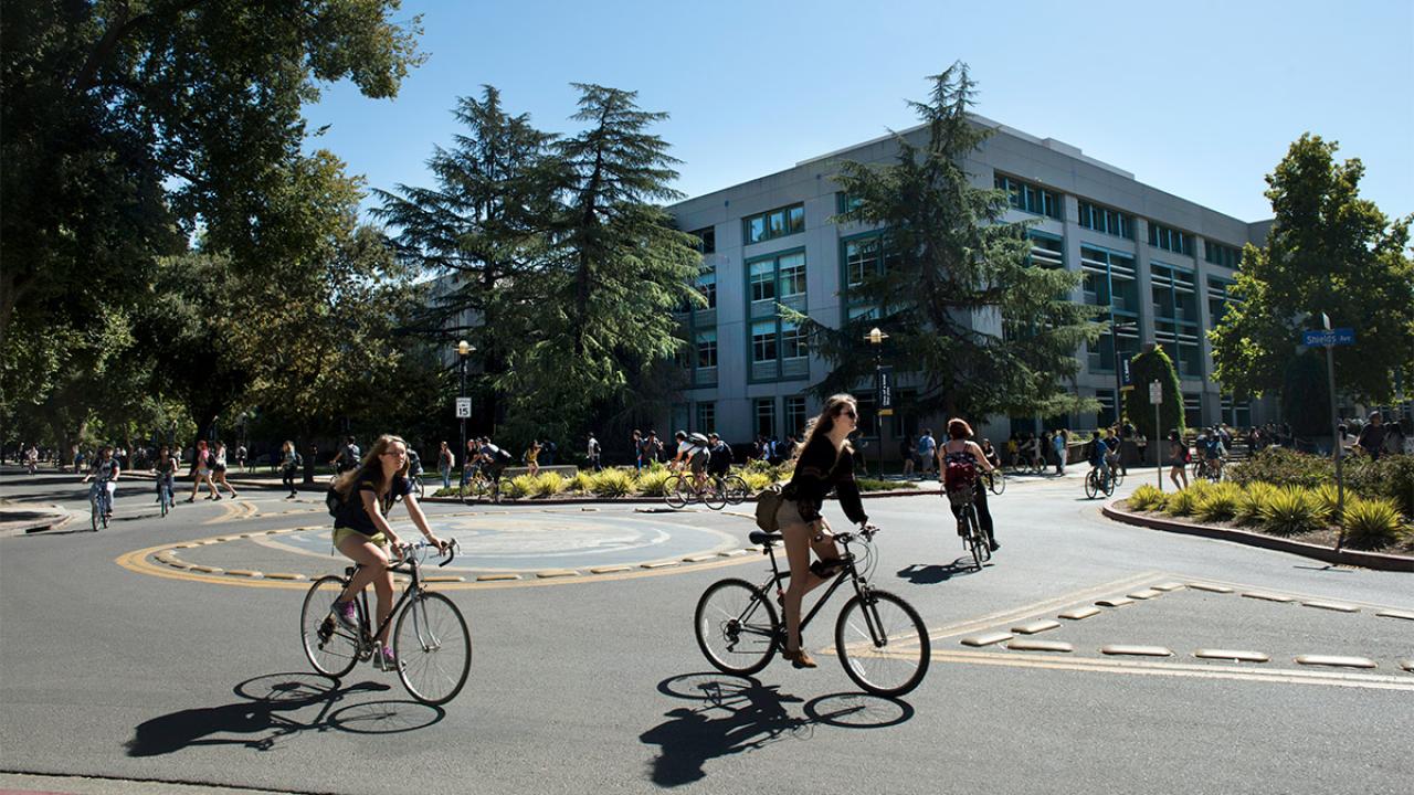 Students ride bicycles in front of Shields Library.