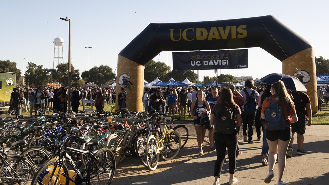 UC Davis