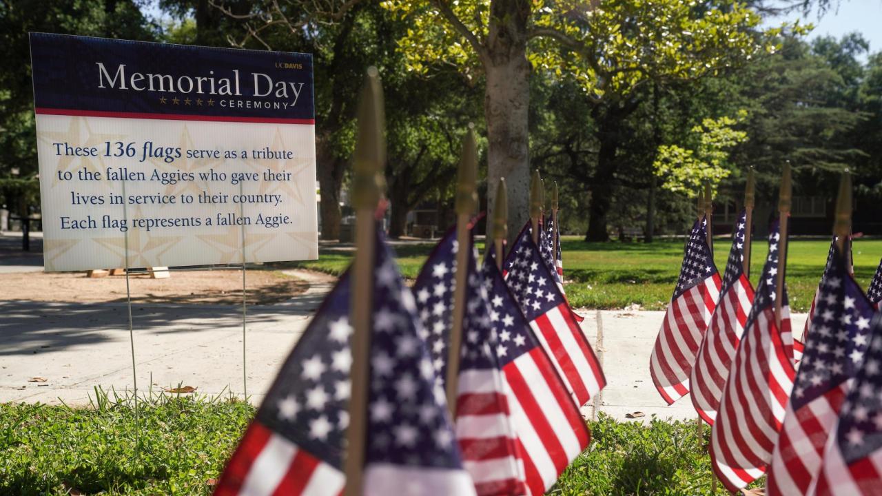 136 flags planted on the lawn of the Memorial Union, one to represent each of the Aggies who gave their lives in the line of service.