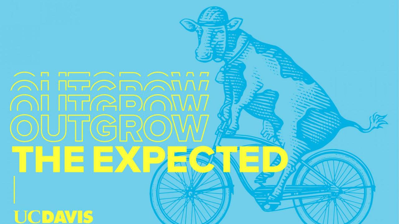 "Outgrow the Expected," with drawing of cow on bike.
