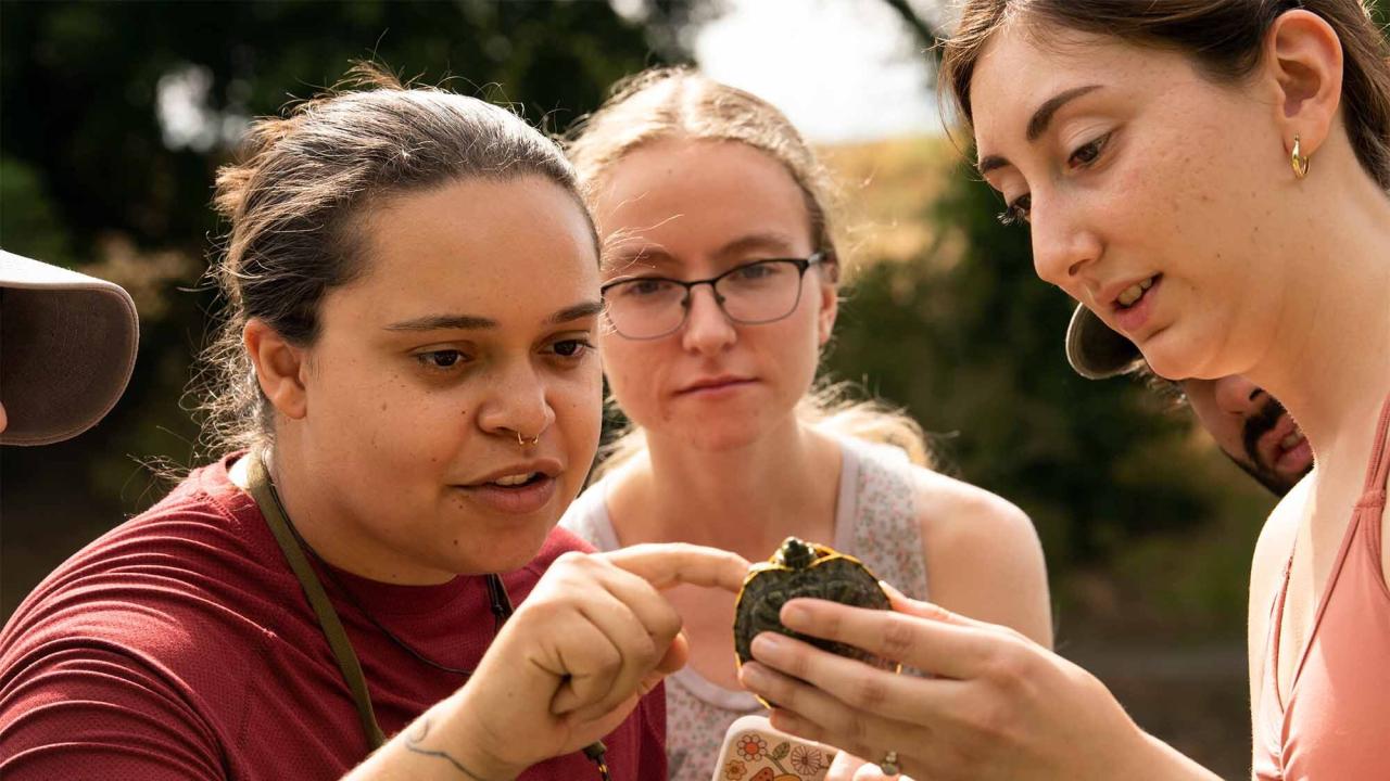 Aggie graduate student mentors two undergraduate students whoa are holding a brown speckled turtle as part of a research project.