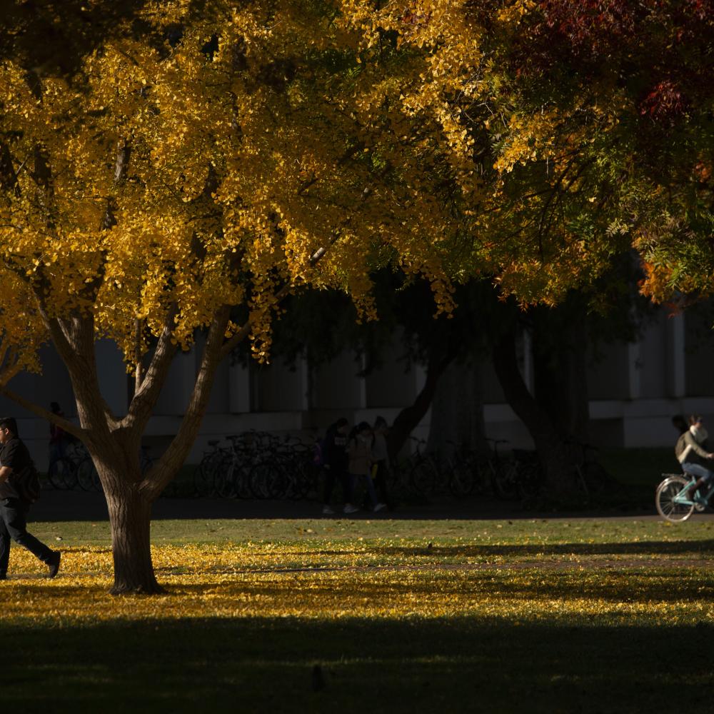 Individual walking and individual on bicycle on the UC Davis campus