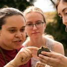 Aggie graduate student mentors two undergraduate students whoa are holding a brown speckled turtle as part of a research project. 