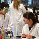 Two graduate students dressed in white labs coats work together in a science lab. 